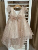 Βαπτιστικό φόρεμα: Πριγκιπική λάμψη με φτερά